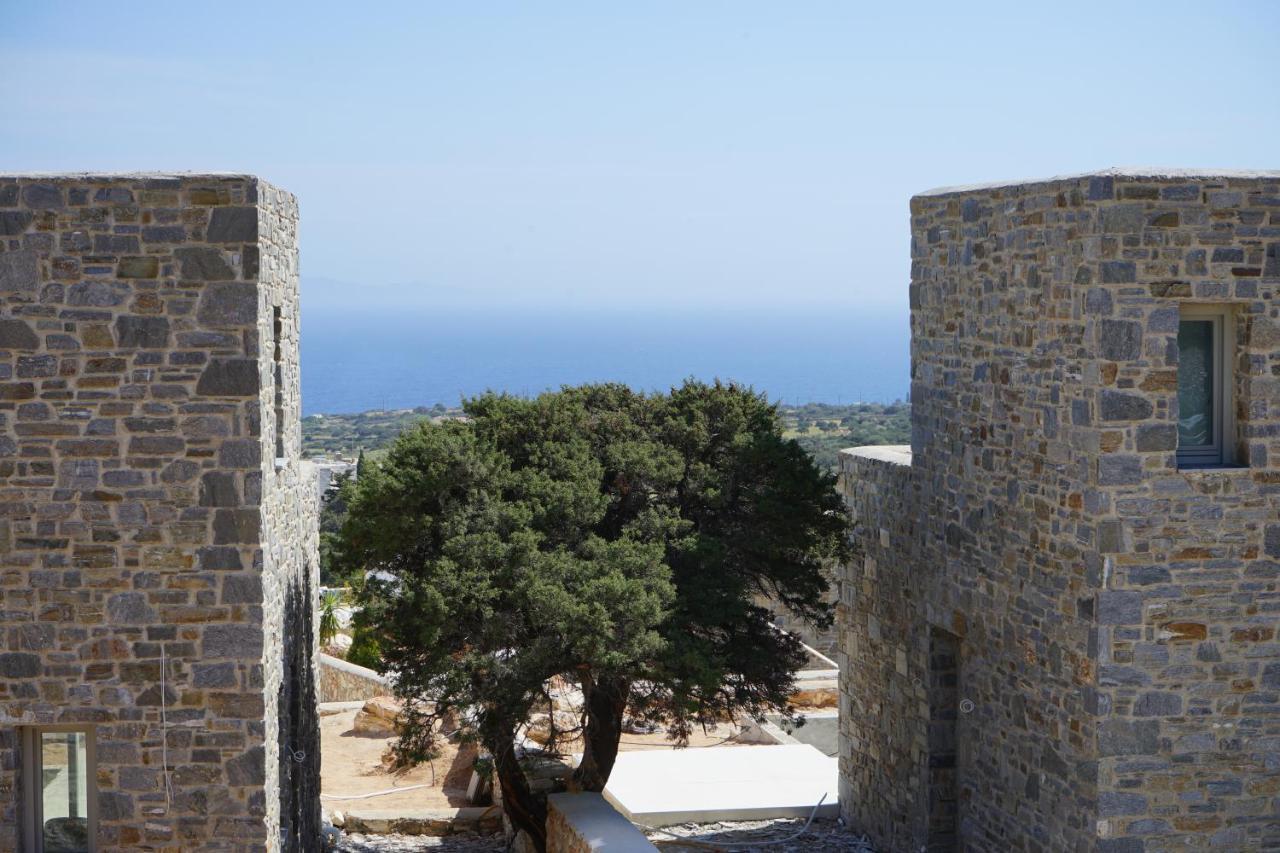 Paros-Memories-Neubau-Villen, Sportpool Aspro Chorio Kültér fotó